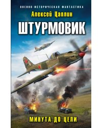 Штурмовик. Минута до цели