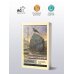 Былины