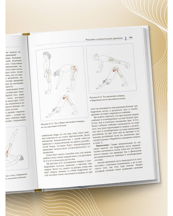 Функциональная анатомия движения. Руководство по анализу биомеханики и работе с миофасциальными меридианами
