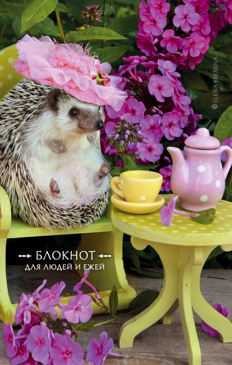 Арт-хобби. Блокноты и раскраски Блокнот для людей и ежей (чаепитие). 115х180мм, мягкая обложка, 64стр.