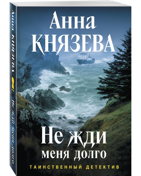 Дополнительное изображение книги «Не жди меня долго»