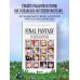 Final Fantasy: Истоки и развитие легендарной серии