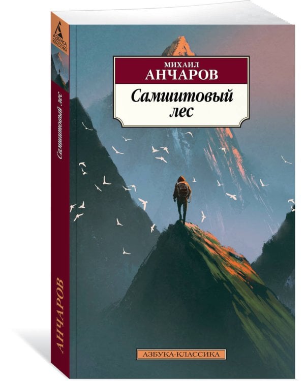 Самшитовый лес