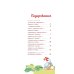 Первые стихи и песенки