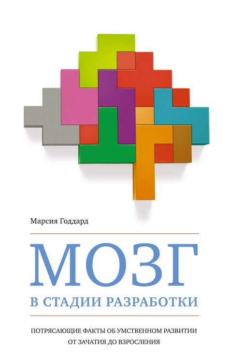 Мозг в стадии разработки. Потрясающие факты об умственном развитии от зачатия до взросления Мозг в стадии разработки. Потрясающие факты об умственном развитии от зачатия до взросления