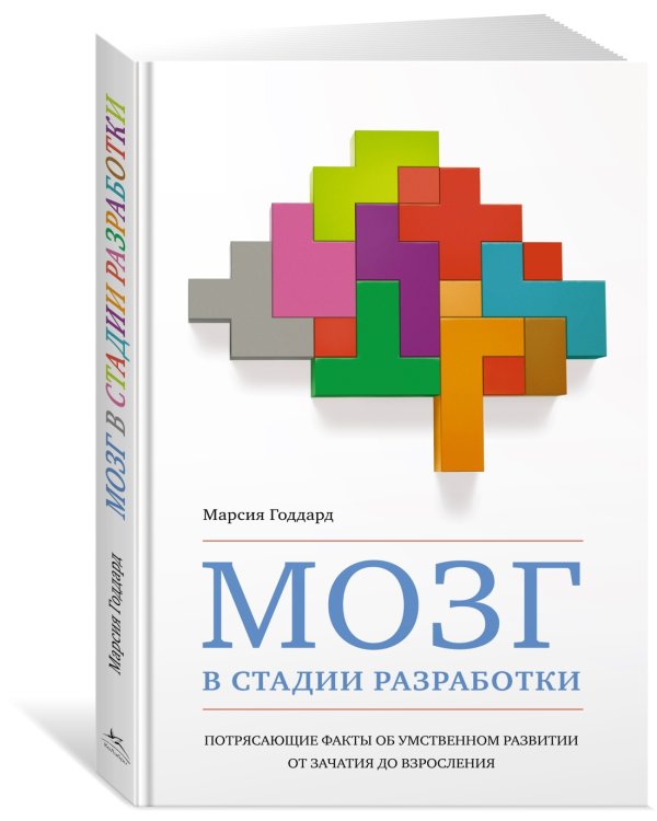 Мозг в стадии разработки. Потрясающие факты об умственном развитии от зачатия до взросления