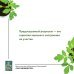 Все растет с Екатериной Кузнецовой. SpottyKIT Рассадоводство. Первые шаги к здоровому урожаю