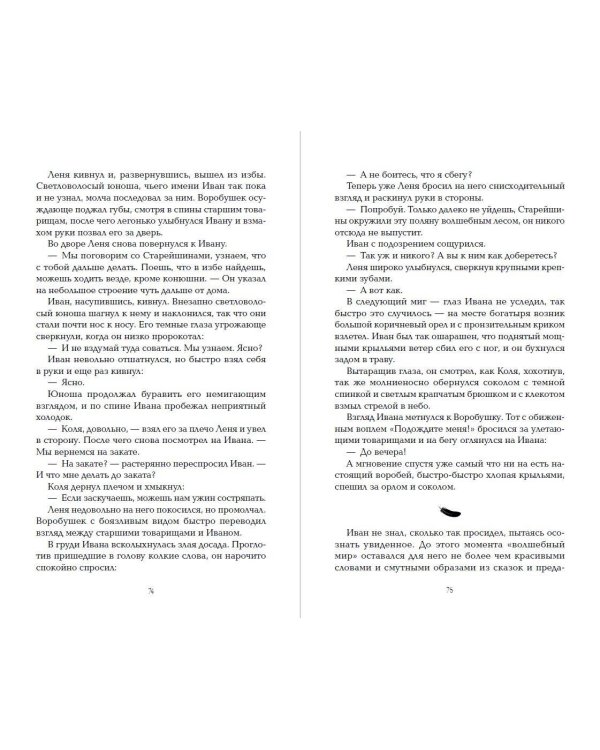 Дополнительное изображение книги «Тень ворона»