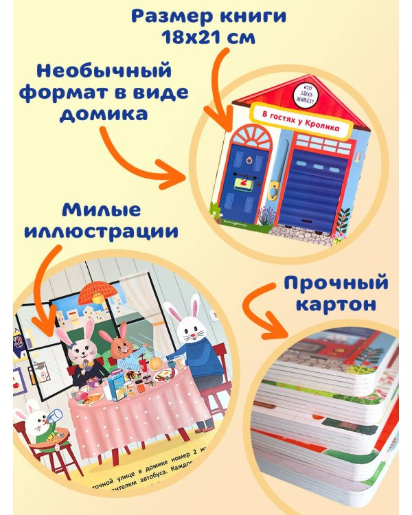 В гостях у Кролика