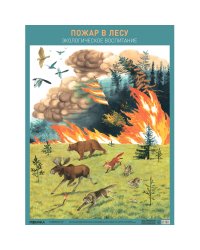 Плакат. Пожар в лесу