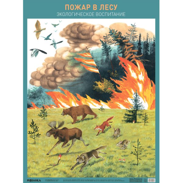 Обложка книги «Плакат. Пожар в лесу», ISBN 9785431527074