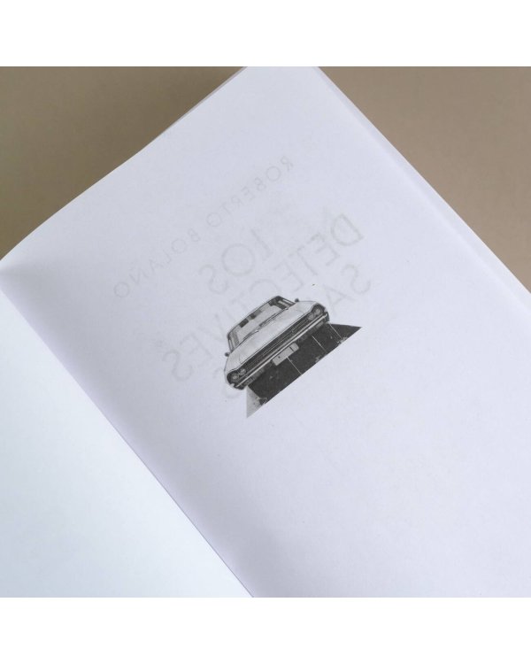 Дикие сыщики