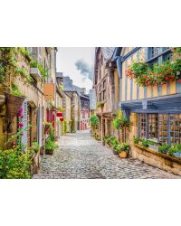 Алмаз мозаика (блест.) 30х40см,с подр.,с полн.заполн.цв.Уютная узкая улочка.( Арт. AS34017)