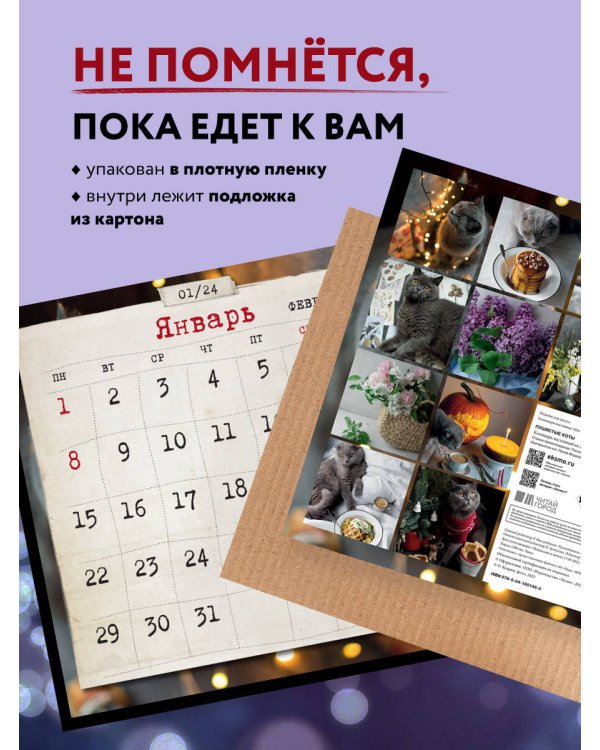 Пушистые коты. Календарь настенный на 2024 год (Олеся Куприн) (300х300 мм)