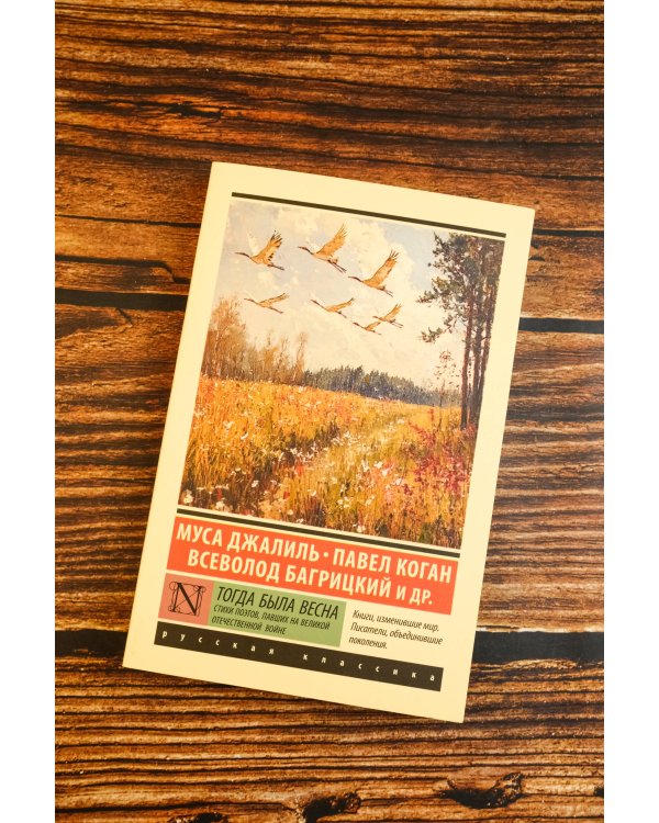 Тогда была весна. Стихи поэтов, павших на Великой Отечественной войне