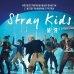 Stray Kids и я. Иллюстрированный фанбук с фотографиями группы