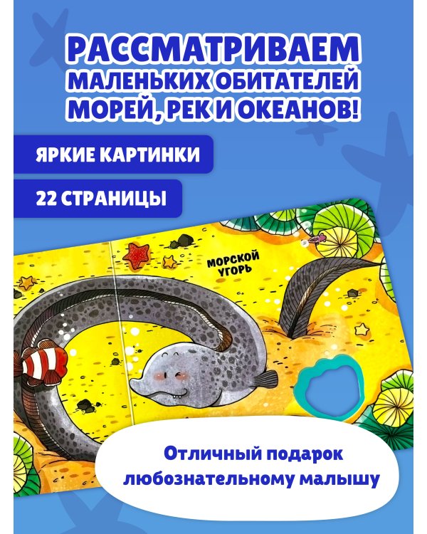 Дополнительное изображение книги «Загляни в окошко! Подводный мир»