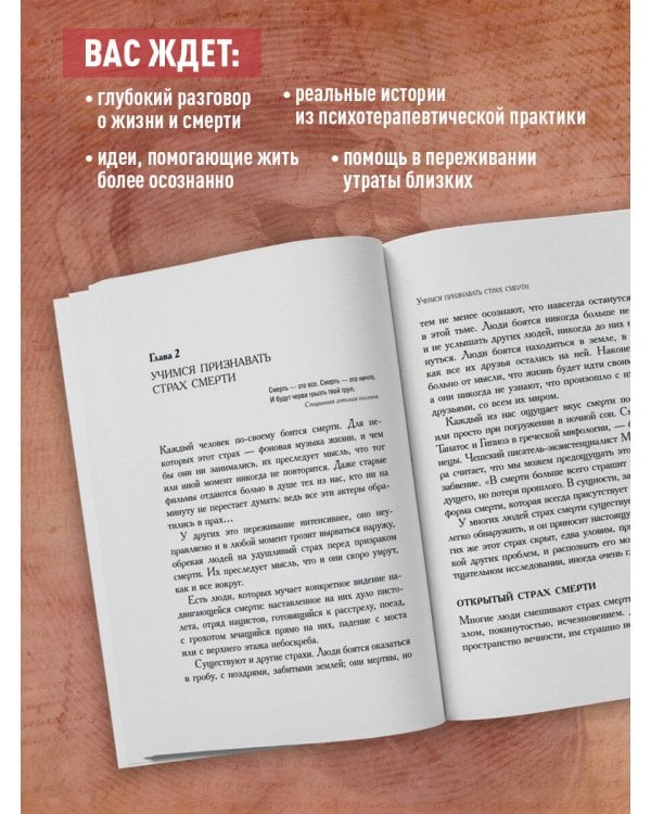 Дополнительное изображение книги «Вглядываясь в солнце. Жизнь без страха смерти»