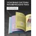 Медицинский атлас: культовый бестселлер Популярный атлас анатомии человека. 200 классических иллюстраций из «Анатомии Грея»