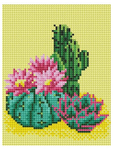 Алмаз. мозаика (класс) 17х22 см, с подр., с полн. заполн. (15цв.) КАКТУСЫ С ЦВЕТАМИ (Арт. AC17068)