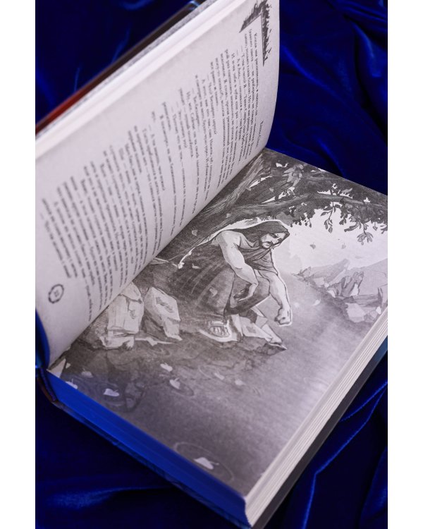 Дополнительное изображение книги «Аид. Любимец судьбы»