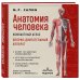 Анатомия человека. Компактный атлас. Опорно-двигательный аппарат