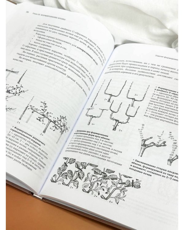 Обрезка садовых деревьев. Экспертное руководство по созданию плодового сада