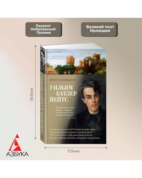 Ветер в камышах