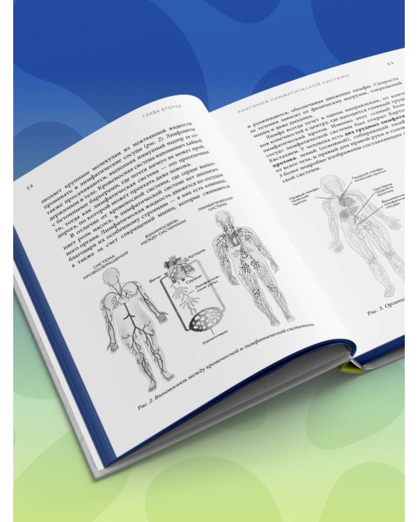 Все о лимфе. Как правильно заботиться о здоровье лимфатической системы и почему это важно (закрашенный обрез)