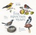 Год простых чудес. 12 месяцев вдохновения для любителей птиц. Календарь настенный на 2026 год (300х300 м)