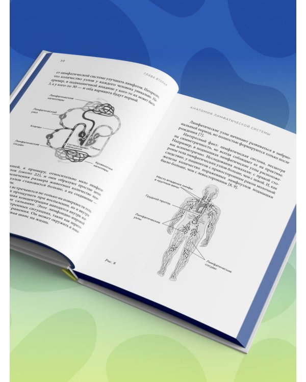 Все о лимфе. Как правильно заботиться о здоровье лимфатической системы и почему это важно (закрашенный обрез)