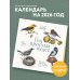 Год простых чудес. 12 месяцев вдохновения для любителей птиц. Календарь настенный на 2026 год (300х300 м)