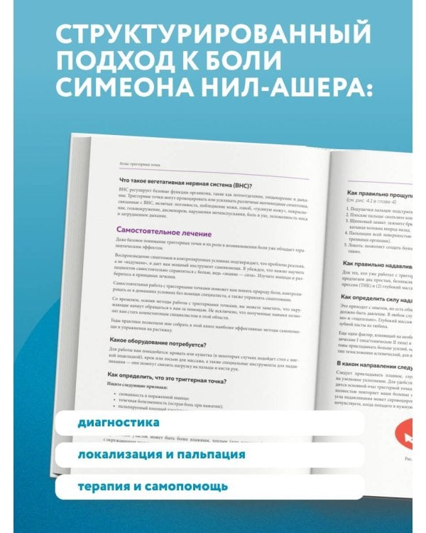 Дополнительное изображение книги «Атлас триггерных точек. Современные подходы к работе с мышцами и суставами при болевых синдромах»