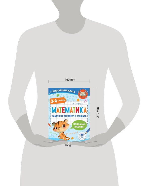 Математика. Задачи на периметр и площадь. 3-4 классы