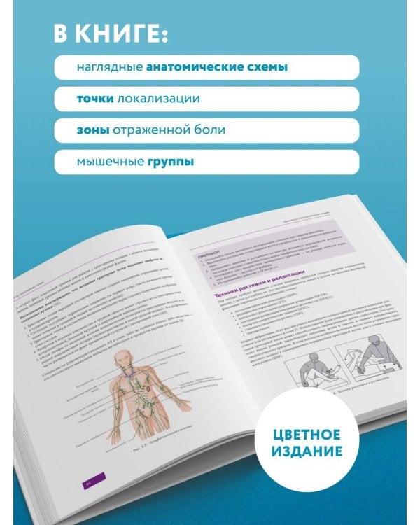 Дополнительное изображение книги «Атлас триггерных точек. Современные подходы к работе с мышцами и суставами при болевых синдромах»