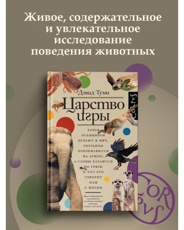 Царство игры