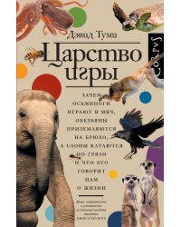 Царство игры