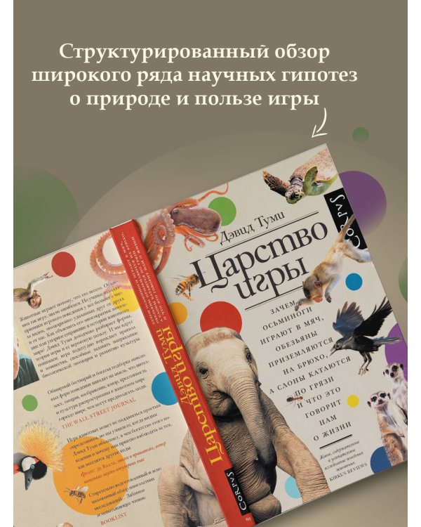 Царство игры