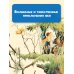 Детская библиотека на все времена Крылышки феи