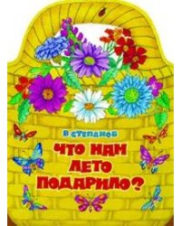 КНИЖКА С ВЫРУБКОЙ. Что нам лето подарило?