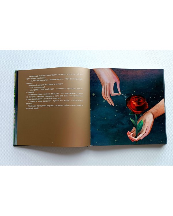 Дополнительное изображение книги «Маленький принц (ил. С. Чоя, пер. Н. Галь)»