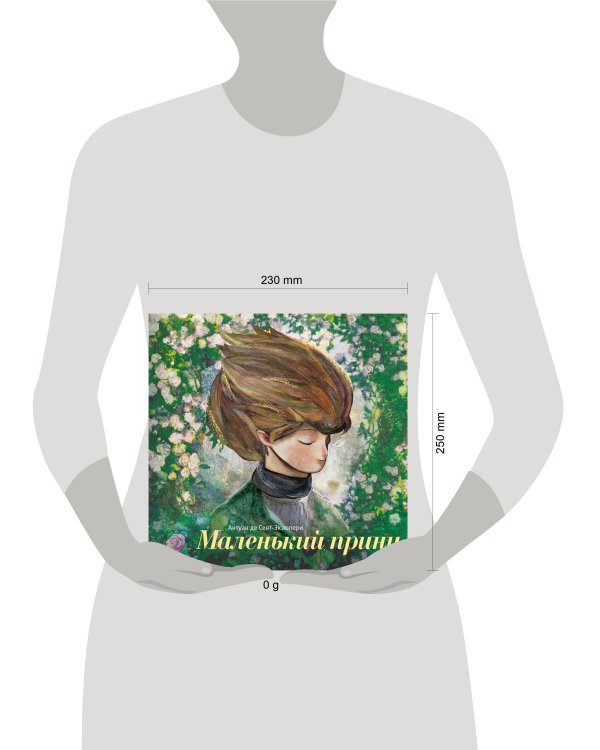 Дополнительное изображение книги «Маленький принц (ил. С. Чоя, пер. Н. Галь)»