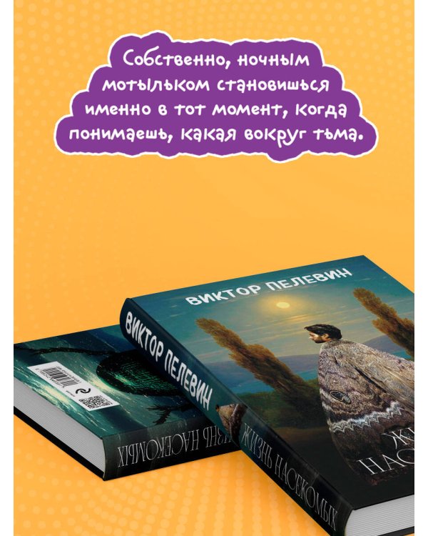 Жизнь насекомых