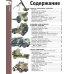 Полная энциклопедия в картинках Танки, бронемашины, боевые самолеты, беспилотники