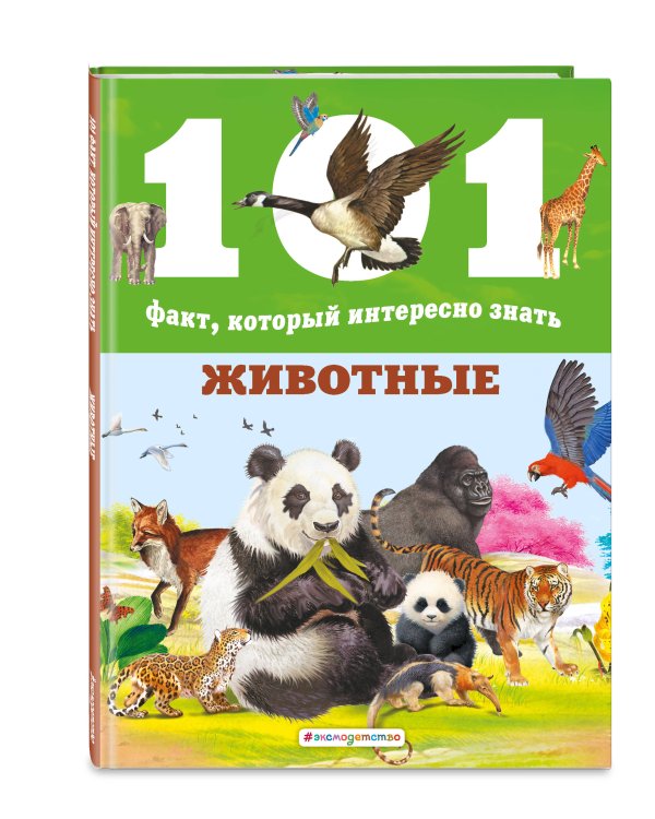 Животные