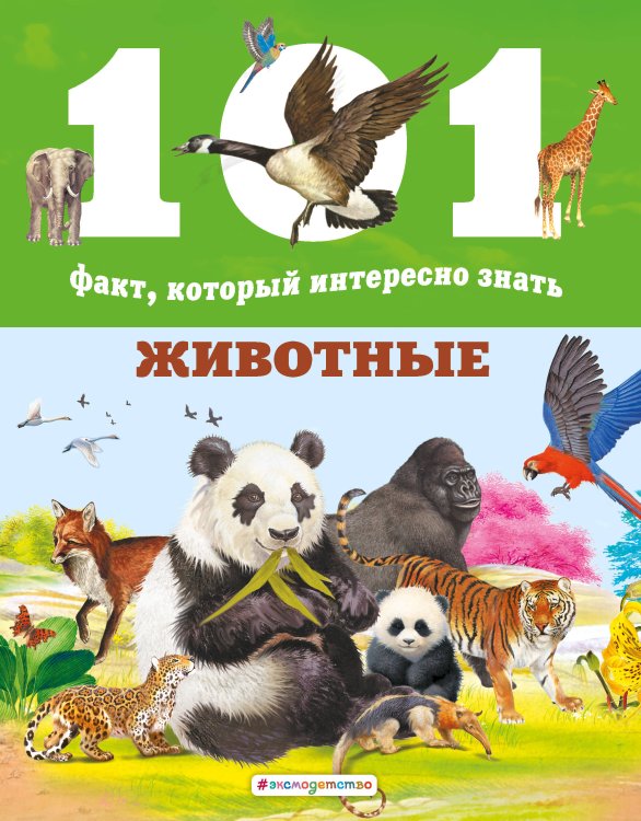 101 факт, который интересно знать Животные