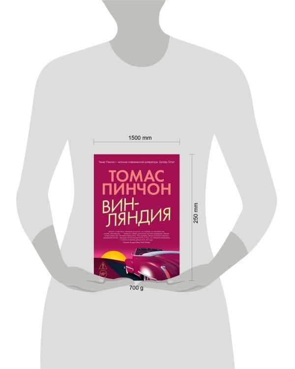 Дополнительное изображение книги «Винляндия»