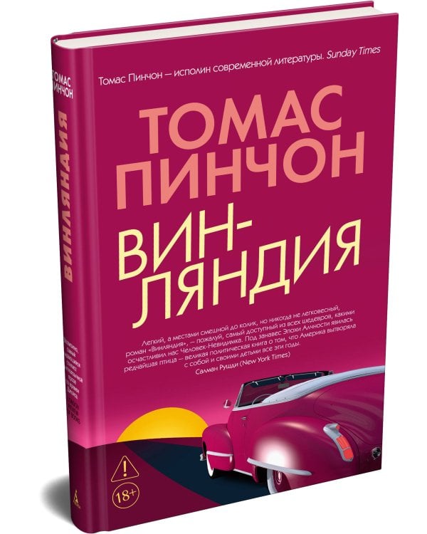 Дополнительное изображение книги «Винляндия»