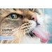 Дополнительное изображение книги «Cats Кошки / Книги на английском языке»