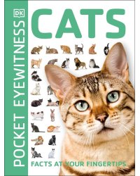 Cats Кошки / Книги на английском языке